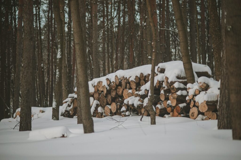 a pile of logs sitting in the middle of a forest